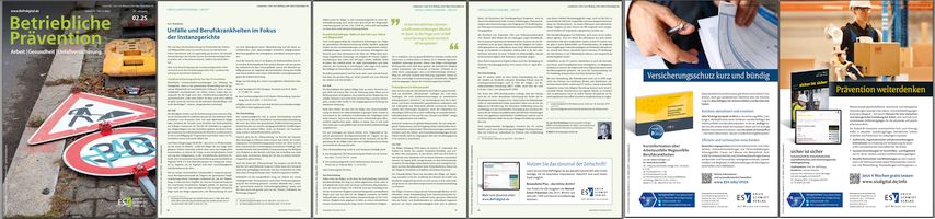Leseprobe Fachartikel (PDF)
